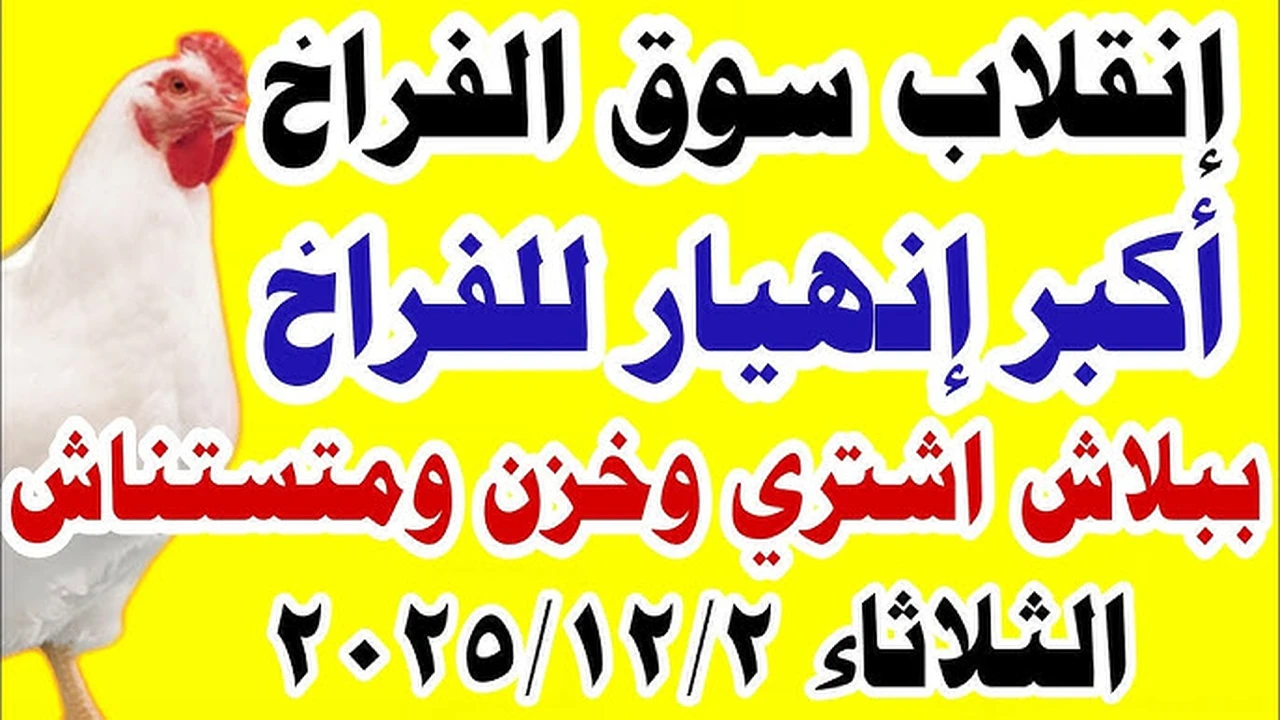 الفراخ طارت في السما.. بورصة الدواجن اليوم أسعار الفراخ البيضاء في الاسواق.. مفاجأة تهز المصريين